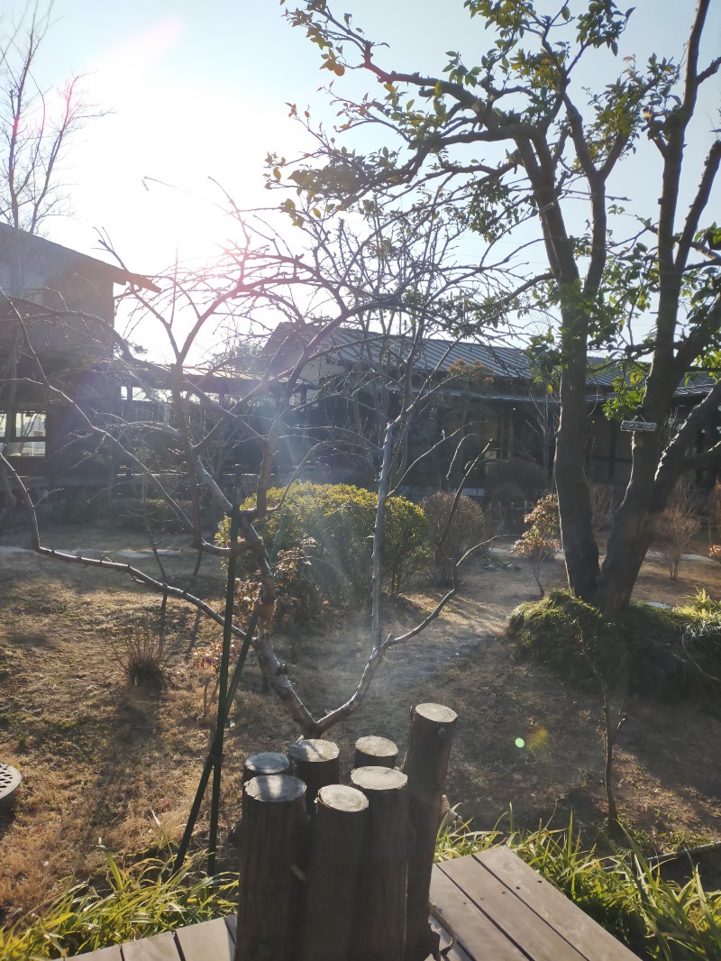 綺麗な花には毒があるさんの杉戸天然温泉 雅楽の湯のサ活写真