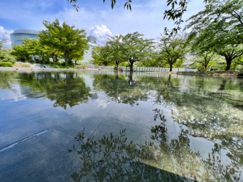 ぎんさんの天然温泉 多宝の湯 ドーミーイン新潟のサ活写真