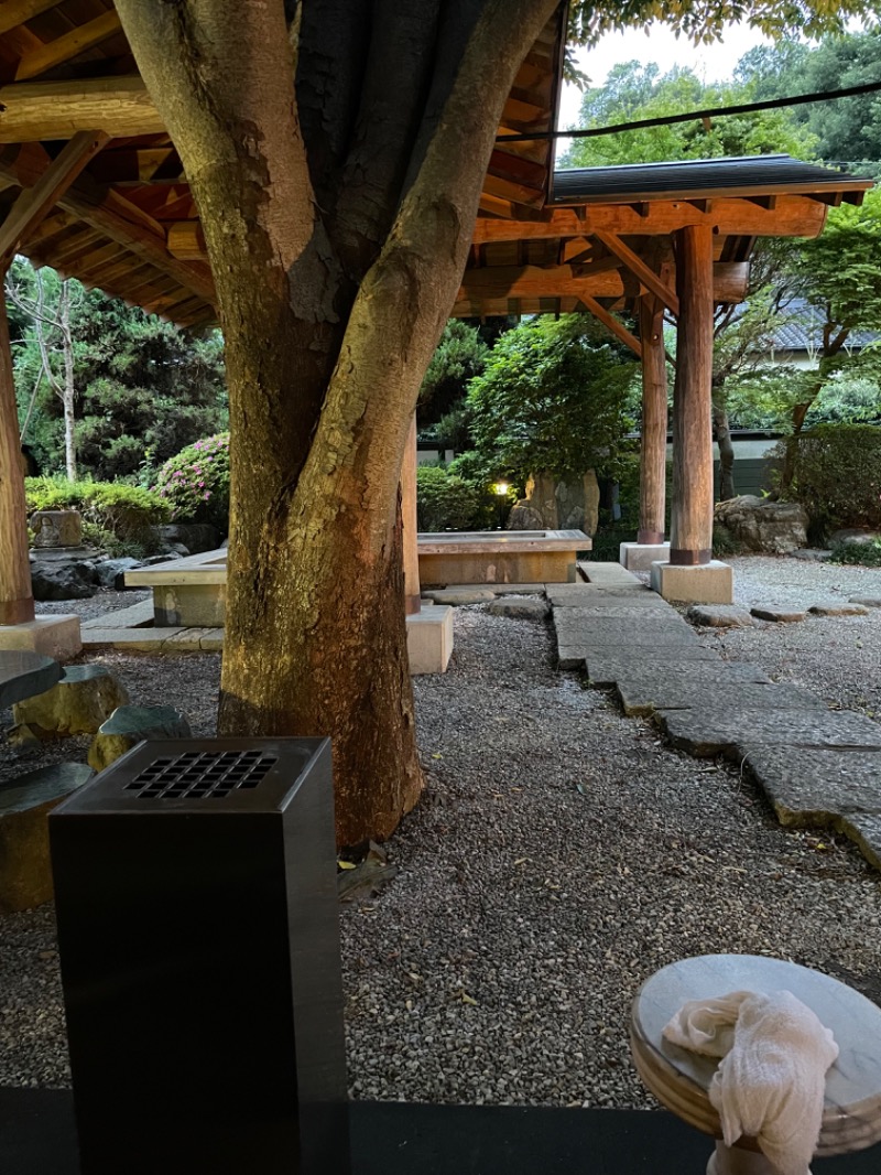 智さんの見沼天然温泉 小春日和のサ活写真