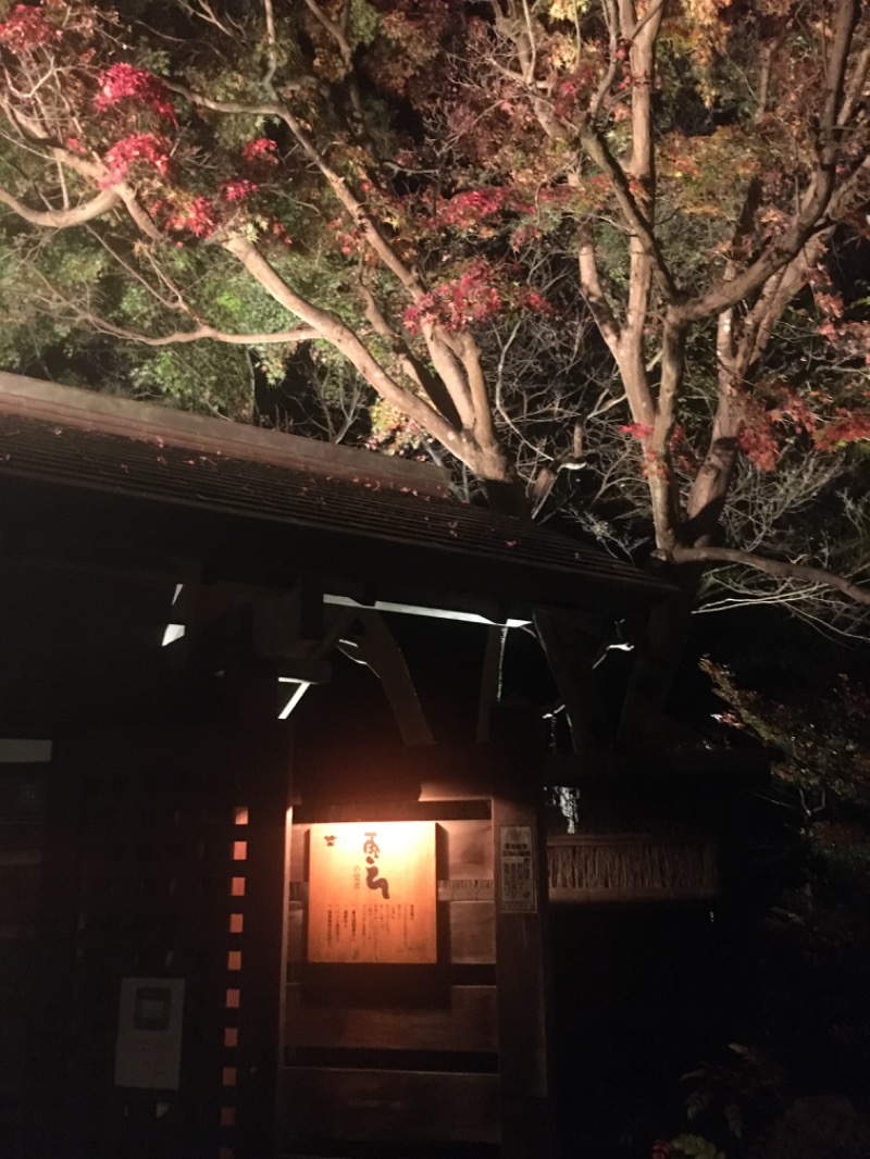 ゆすけさんの天山湯治郷 ひがな湯治 天山のサ活写真
