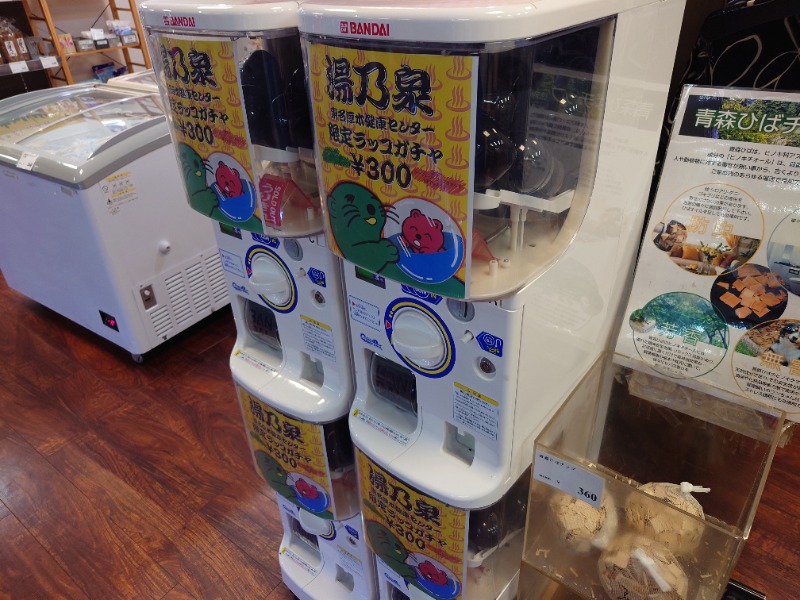 マイスターさんの湯乃泉 東名厚木健康センターのサ活写真