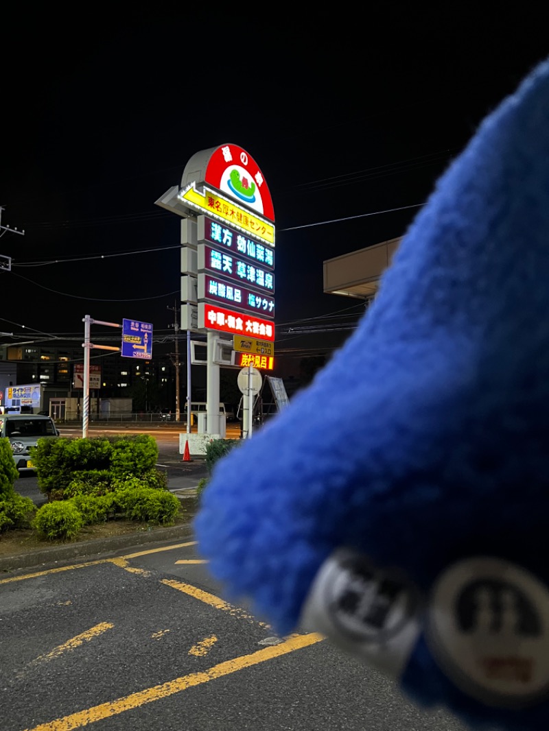 おやかたさんの湯の泉 東名厚木健康センターのサ活写真