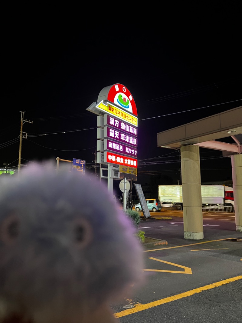 おやかたさんの湯の泉 東名厚木健康センターのサ活写真