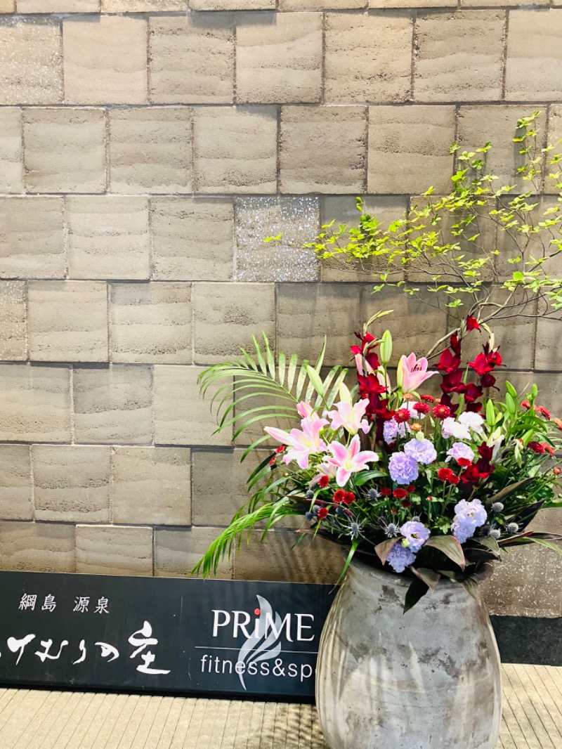 よごにゃんさんの綱島源泉 湯けむりの庄のサ活写真