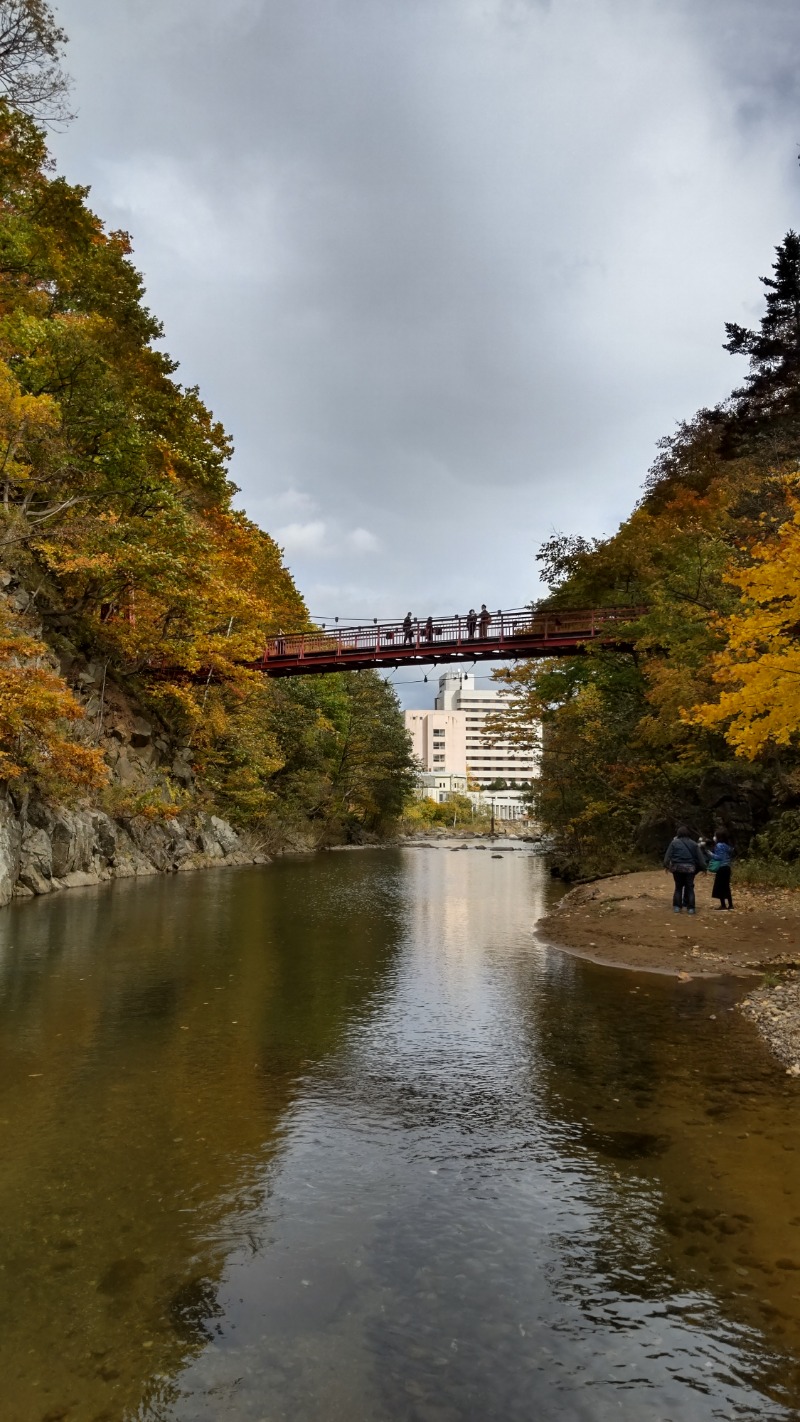 魔作@夢はハスラーで日本一周車中泊旅さんの定山渓万世閣ホテルミリオーネのサ活写真