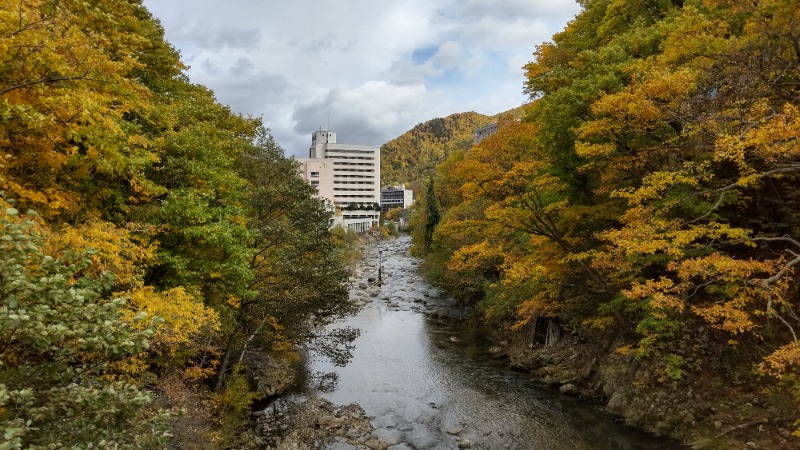 魔作@夢はハスラーで日本一周車中泊旅さんの定山渓万世閣ホテルミリオーネのサ活写真