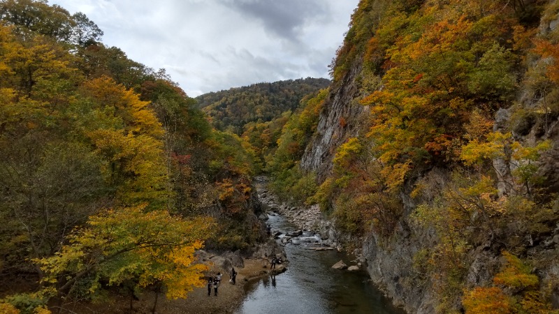 魔作@夢はハスラーで日本一周車中泊旅さんの定山渓万世閣ホテルミリオーネのサ活写真