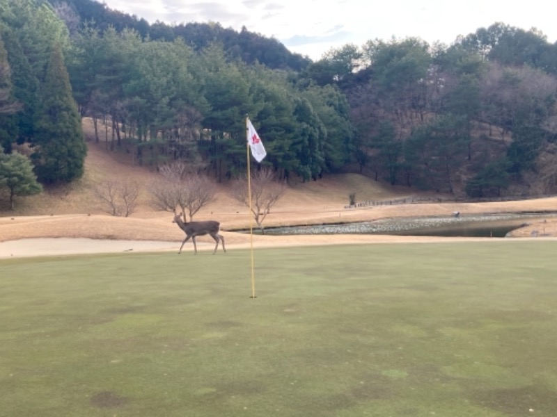 しぶさんのJR 内野カントリークラブのサ活写真