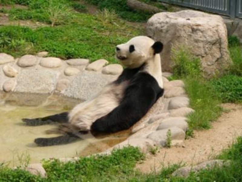 サ飯に夢中♪さんの大垣サウナのサ活写真