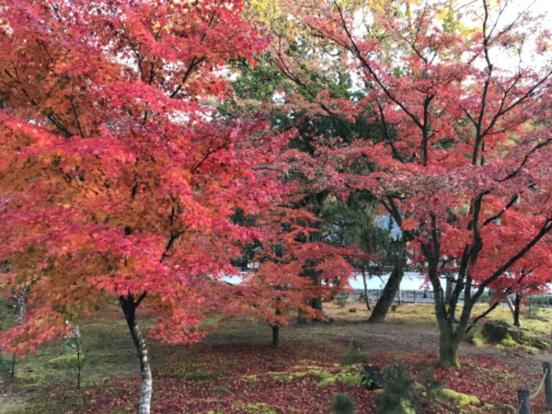 sauna bluesさんのサウナ&カプセルホテル ルーマプラザのサ活写真