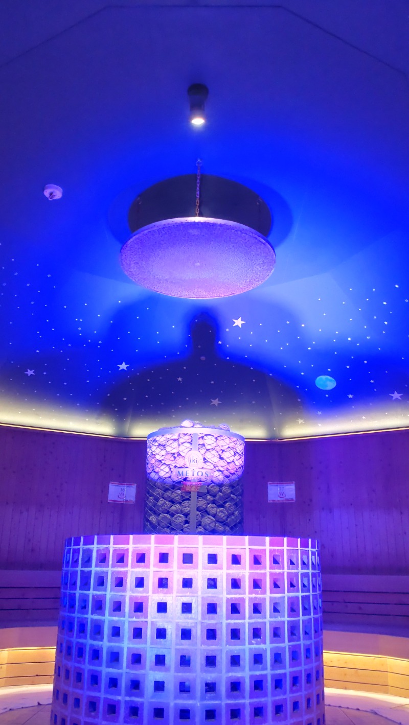 じゅんちさんの天然温泉 平和島のサ活写真