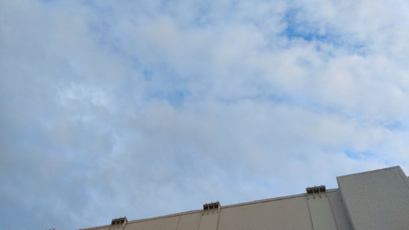 じゅんちさんの天然温泉 平和島のサ活写真