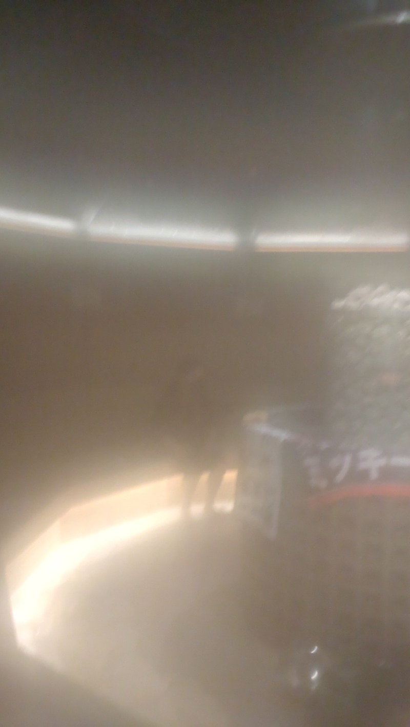 じゅんちさんの天然温泉 平和島のサ活写真