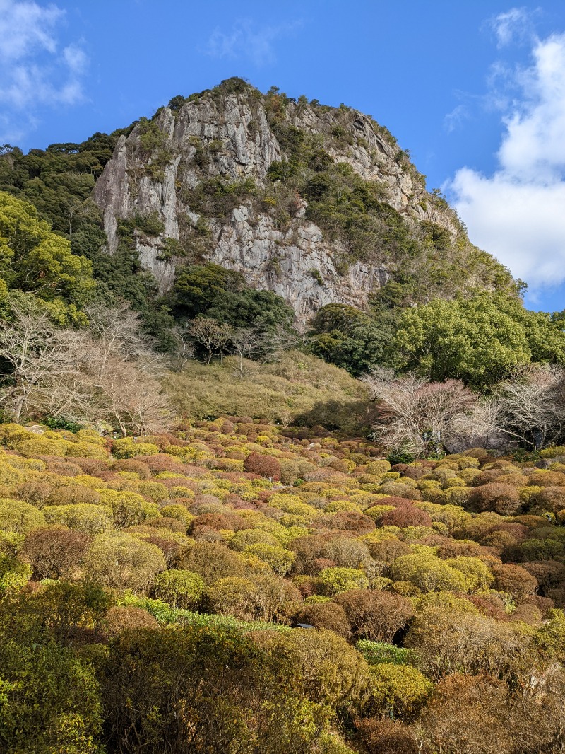 サウ之助さんの御船山楽園ホテル  らかんの湯のサ活写真