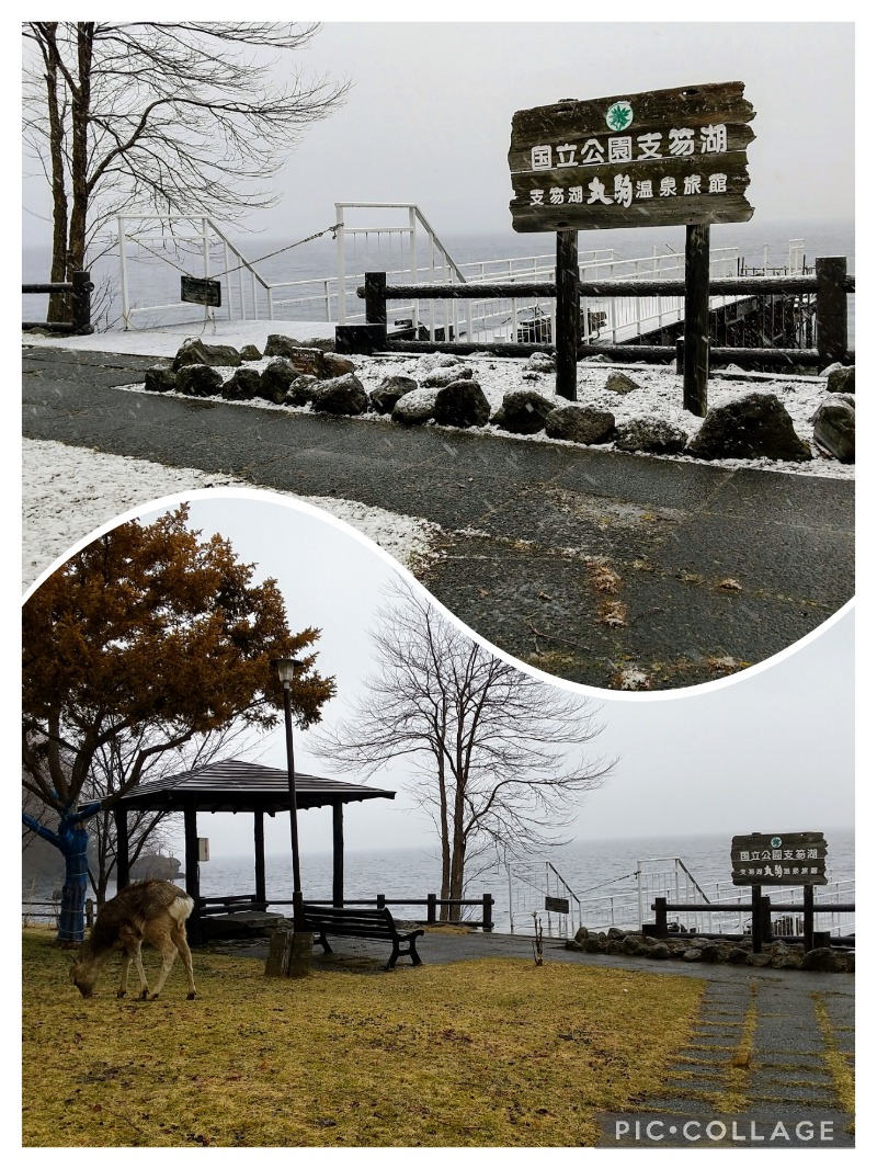 閻魔さんの湖畔の宿支笏湖 丸駒温泉旅館のサ活写真