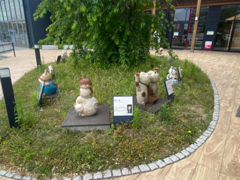 黒猫のうるるさんの常滑温泉 マーゴの湯のサ活写真