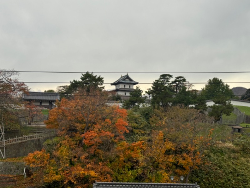 黒猫のうるるさんの温泉旅館矢野のサ活写真