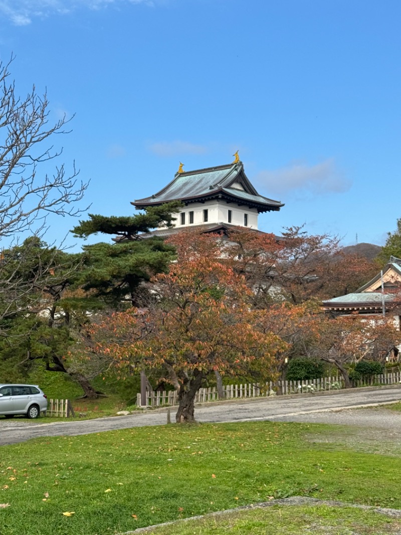 黒猫のうるるさんの温泉旅館矢野のサ活写真