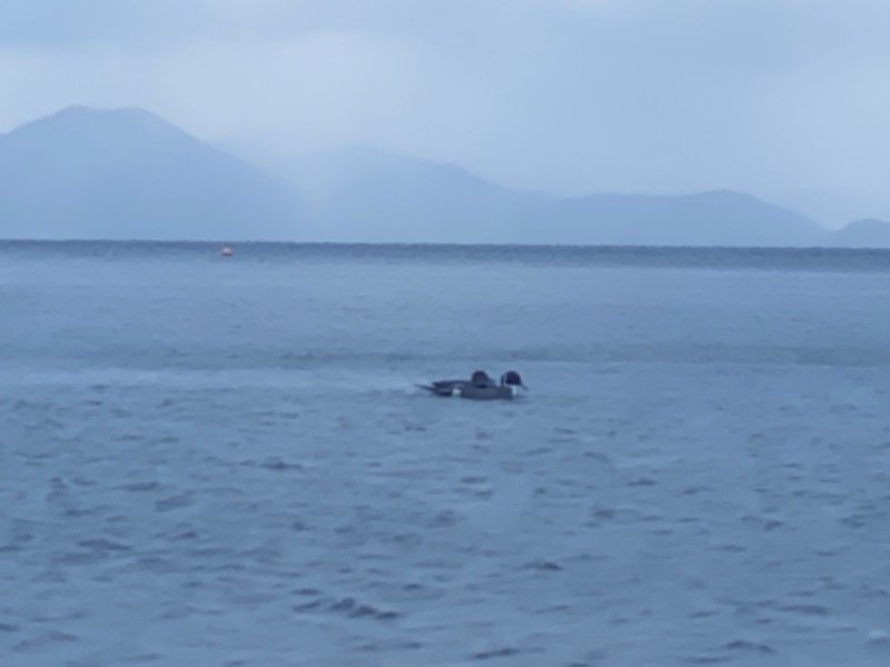 黒猫のうるるさんのLAKE SIDE HOTELみなとや(MINATOYA SAUNA)のサ活写真