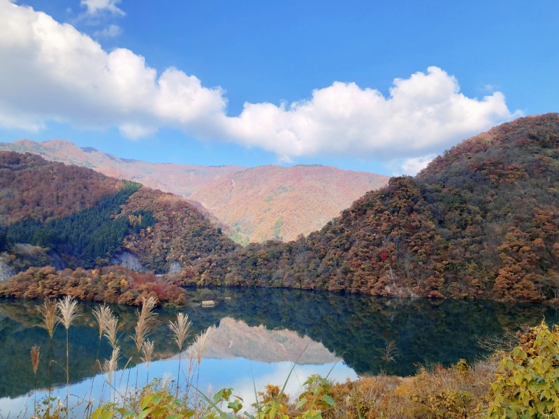 パンくんさんの平ふれあい温泉センター ゆ〜楽のサ活写真