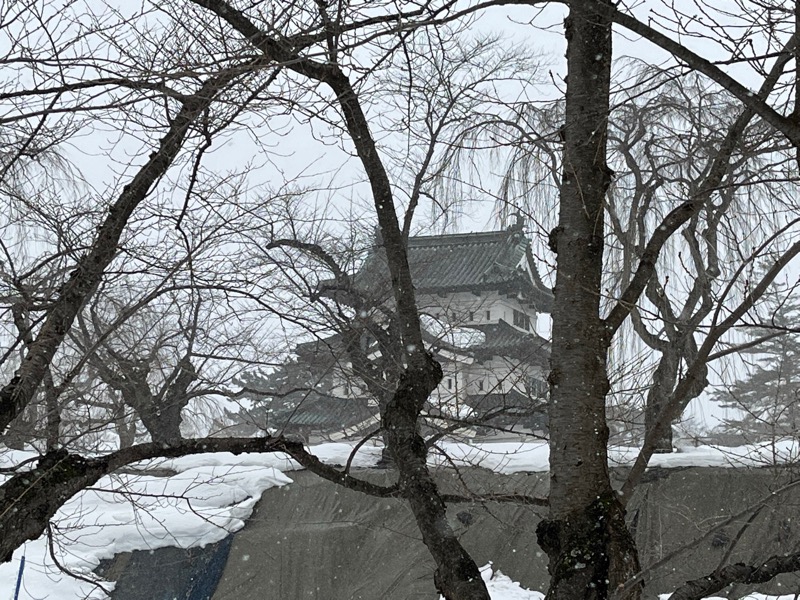 シケモクさんの岩木桜の湯 ドーミーイン弘前のサ活写真