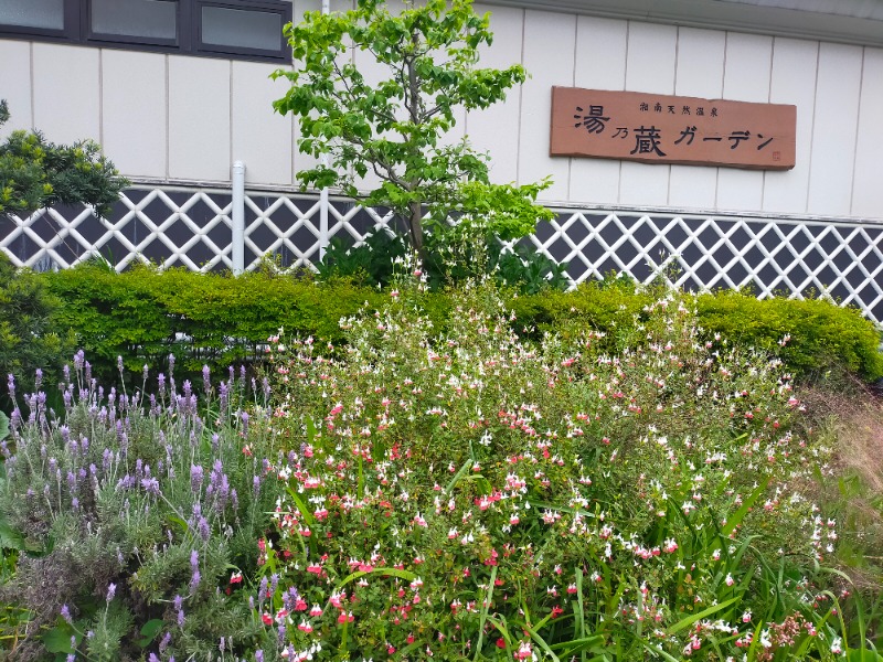 chico🔥森の爆風戦士ﾋﾟｿｰｸ🌳さんの湘南天然温泉湯乃蔵ガーデンのサ活写真