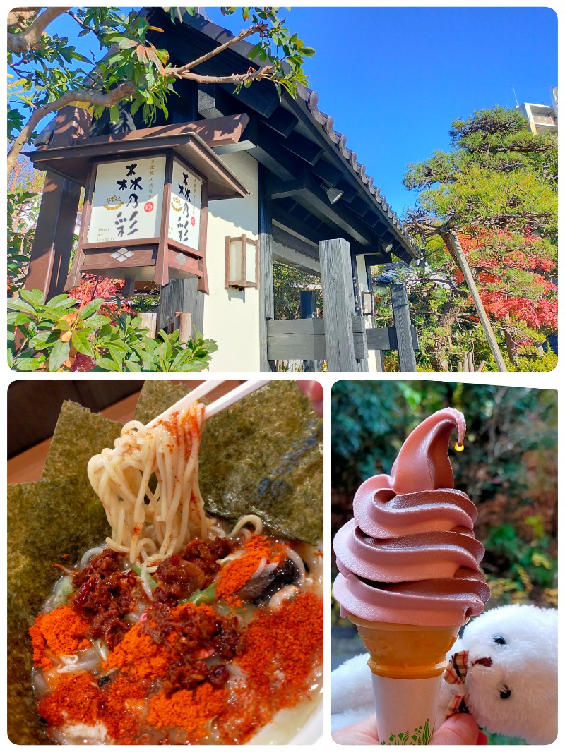 chico🔥🌶さんの多摩境天然温泉 森乃彩のサ活写真