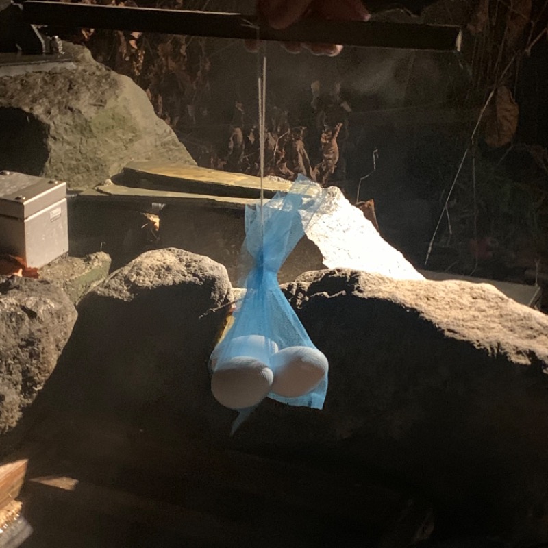 こんがり〜なさんの定山渓温泉 ホテル鹿の湯のサ活写真