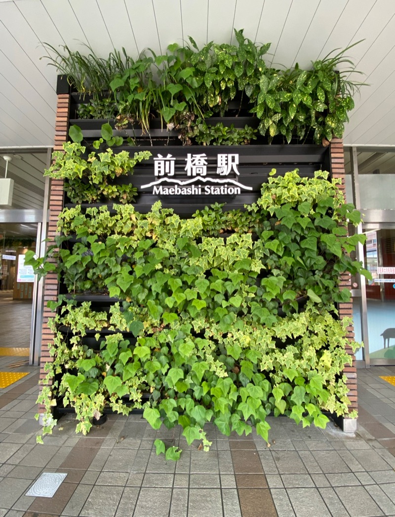 ♨️ふじふじ♨️さんのまえばし駅前天然温泉ゆ〜ゆのサ活写真