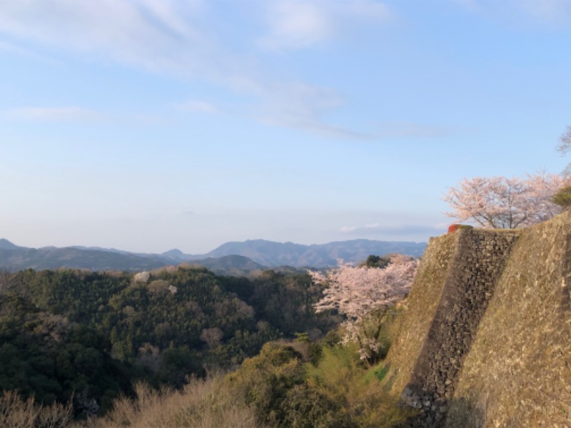 オッサンリバンさんの竹田温泉花水月のサ活写真