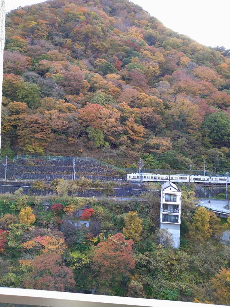 マインツ岡崎さんの鬼怒川温泉ホテルのサ活写真