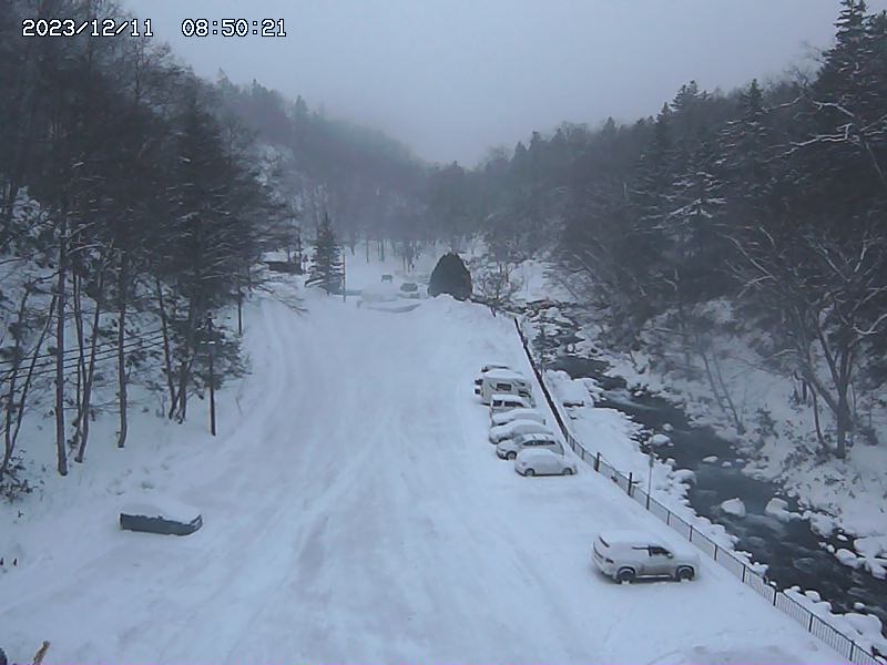 時知らずさんのトムラウシ温泉 東大雪荘のサ活写真