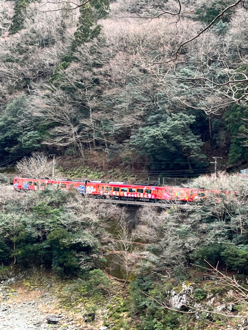 tomo723さんのサンリバー大歩危のサ活写真