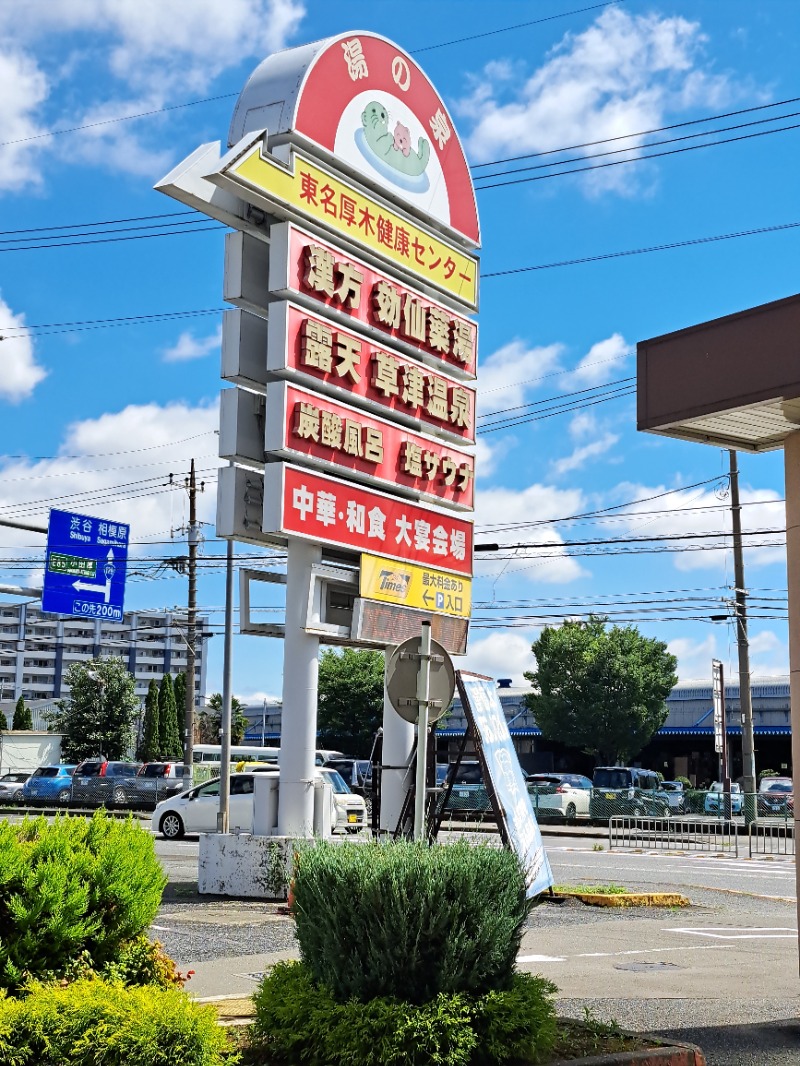 だめだめこさんの湯の泉 東名厚木健康センターのサ活写真