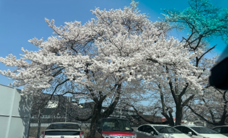 mizuhoさんのやまびこの湯 ベガロポリス仙台南のサ活写真