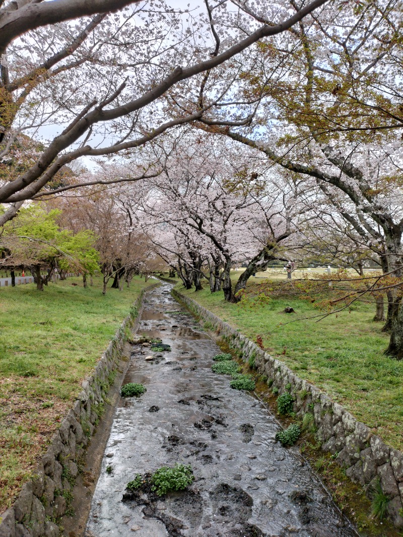 こうこう@日常垢さんの筑紫の湯のサ活写真