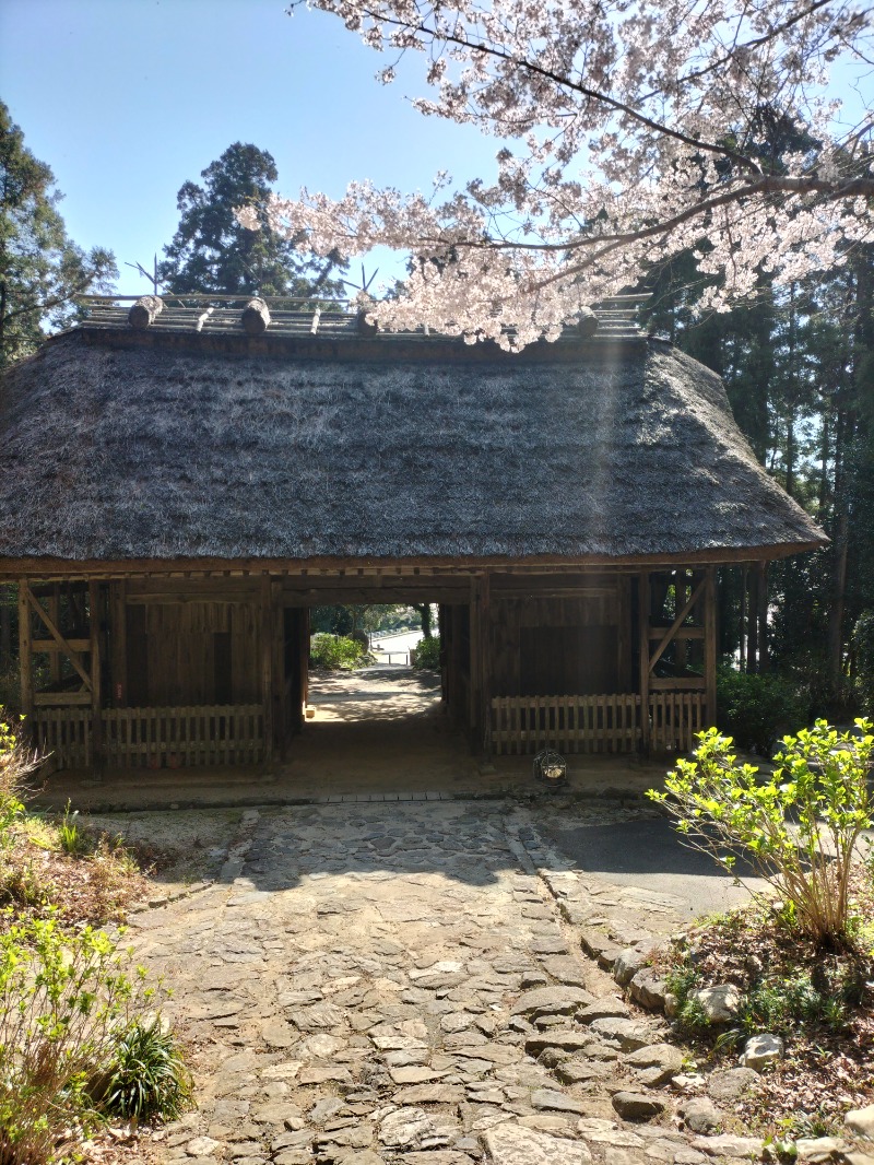 こうこう@日常垢さんの東大寺別院阿弥陀寺 石風呂のサ活写真