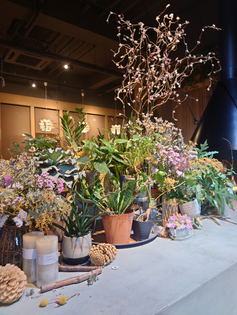 かずくんさんのおふろcafé ハレニワの湯のサ活写真