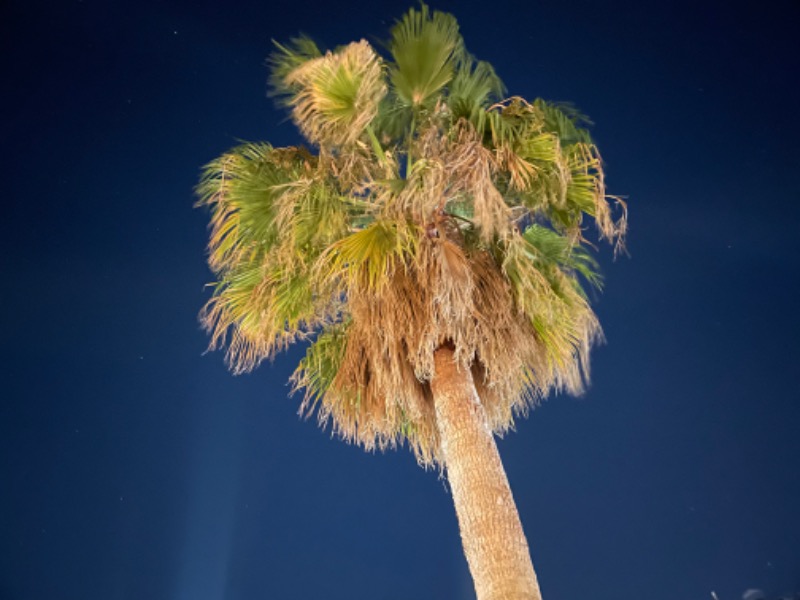 HAYATOさんの極楽湯 ロイヤル川口のサ活写真