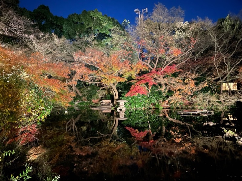 Manachiさんのゴールデンスパ・ニューオータニのサ活写真