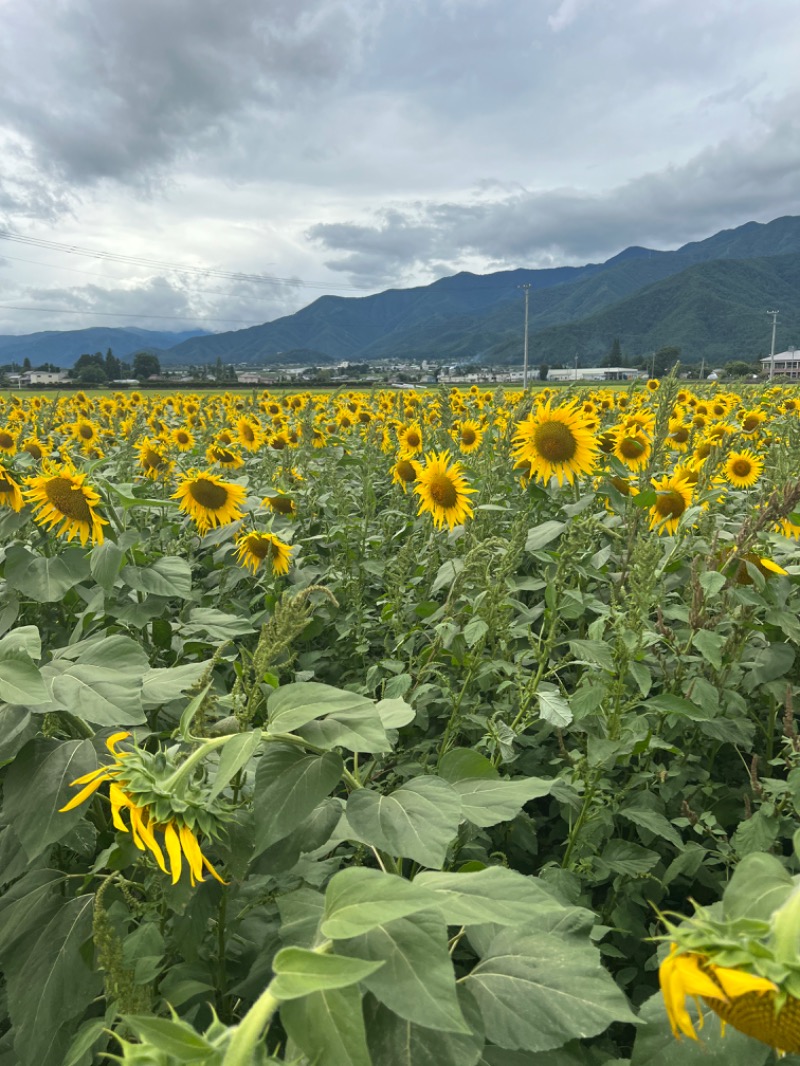 Manachiさんの安曇野 しゃくなげの湯のサ活写真