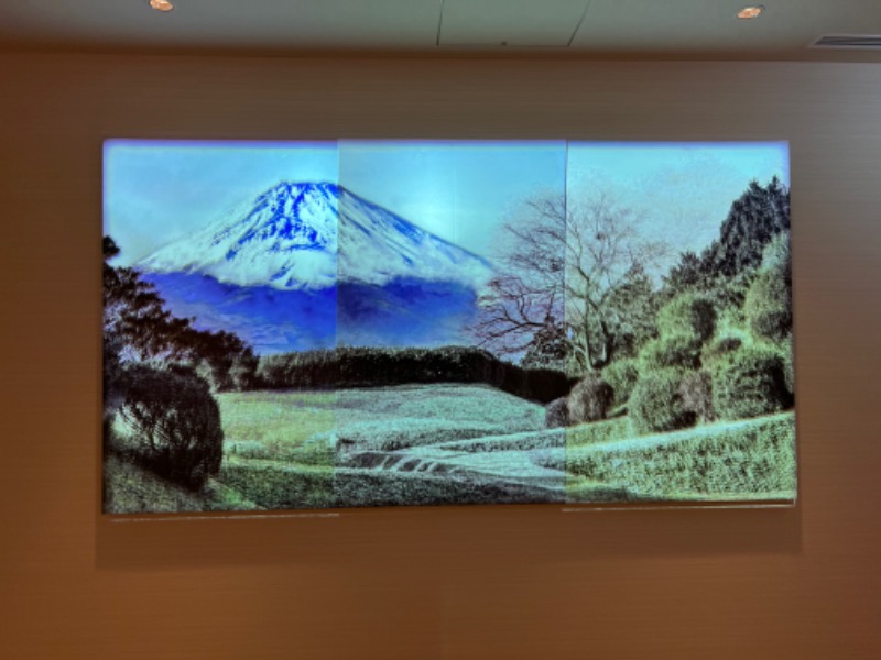 Manachiさんの富士山三島東急ホテルのサ活写真