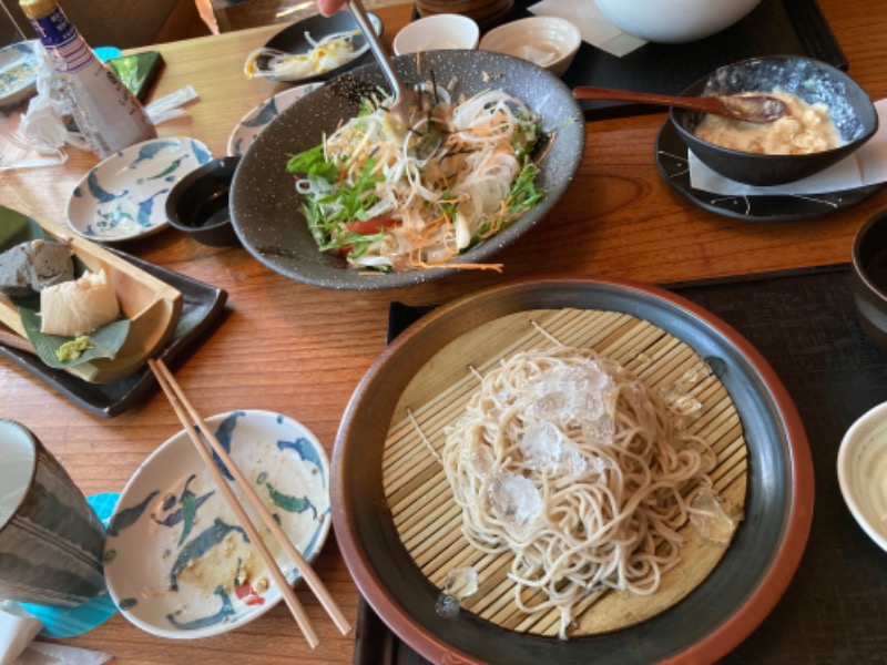 奈良岡にこさんの宮前平源泉 湯けむりの庄のサ活写真