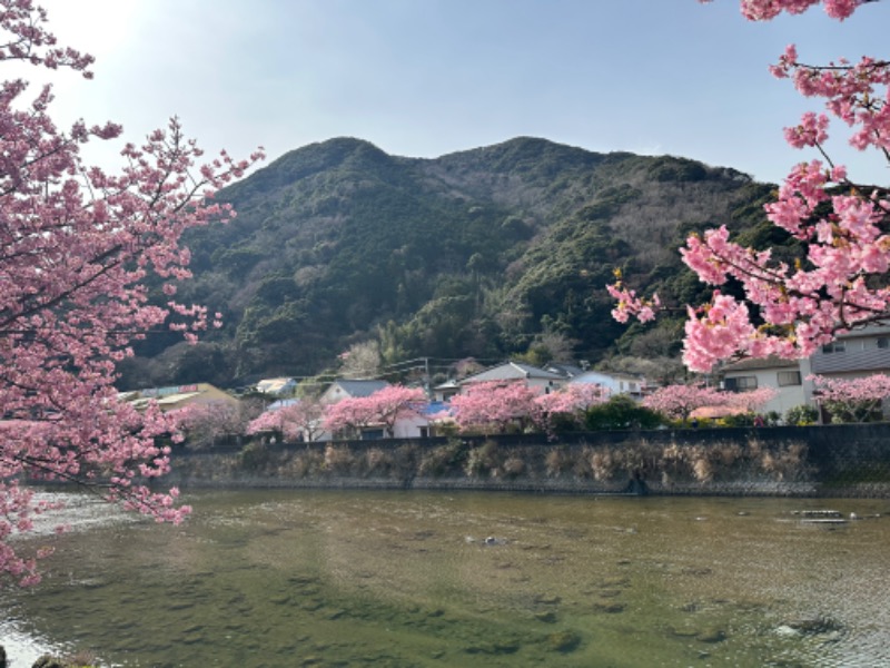 さうなちゃんさんの蓮台寺温泉 清流荘のサ活写真