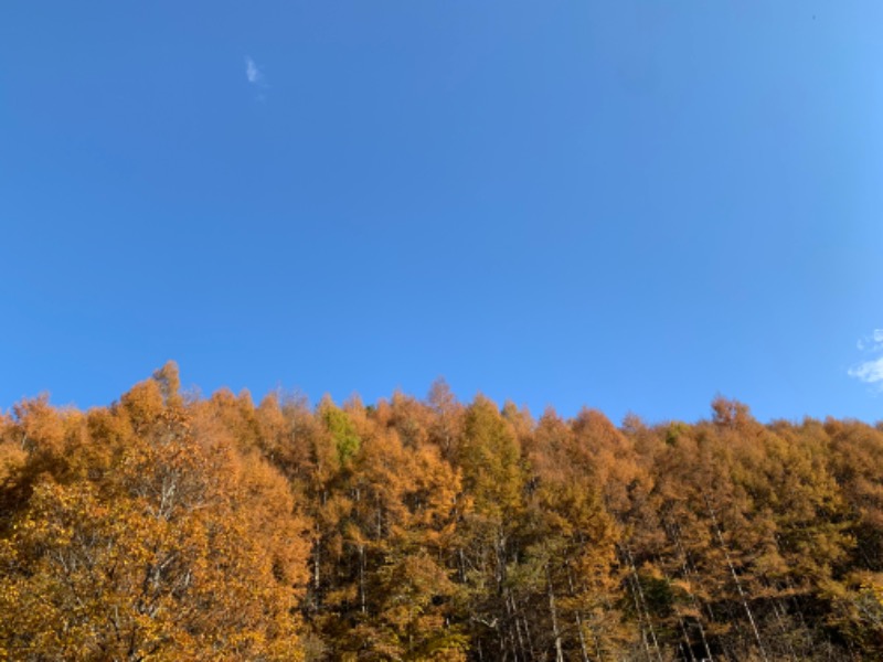 盆地住まいさんの地蔵温泉 十福の湯のサ活写真