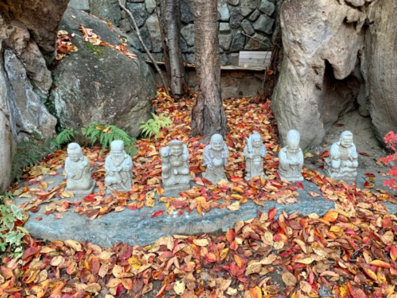 盆地住まいさんの地蔵温泉 十福の湯のサ活写真