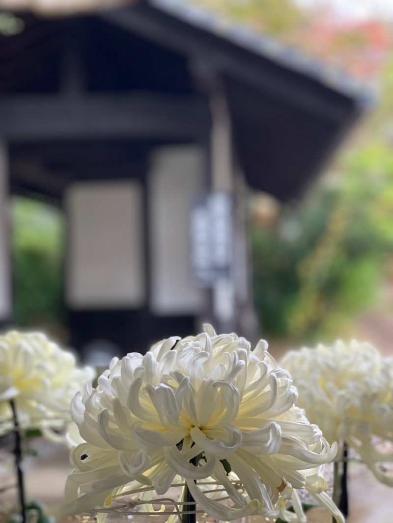 盆地住まいさんの枇杷の湯のサ活写真