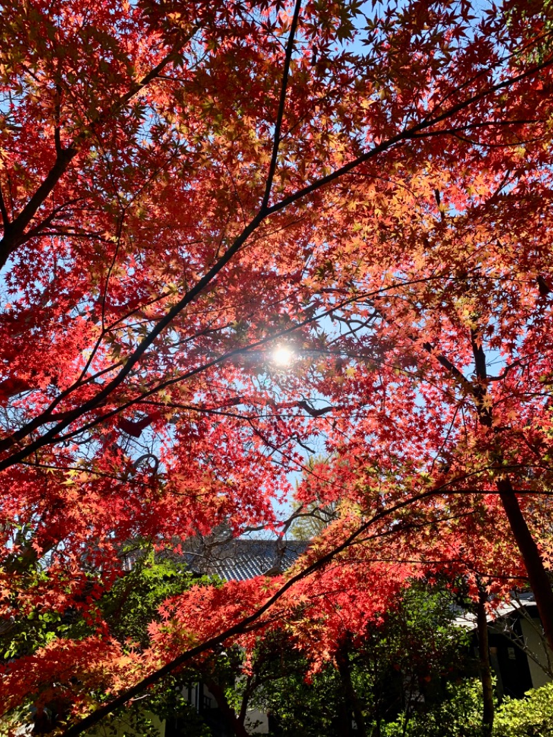 盆地住まいさんの枇杷の湯のサ活写真