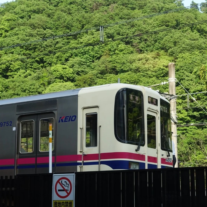 ぽっぽやさんの京王高尾山温泉 極楽湯のサ活写真