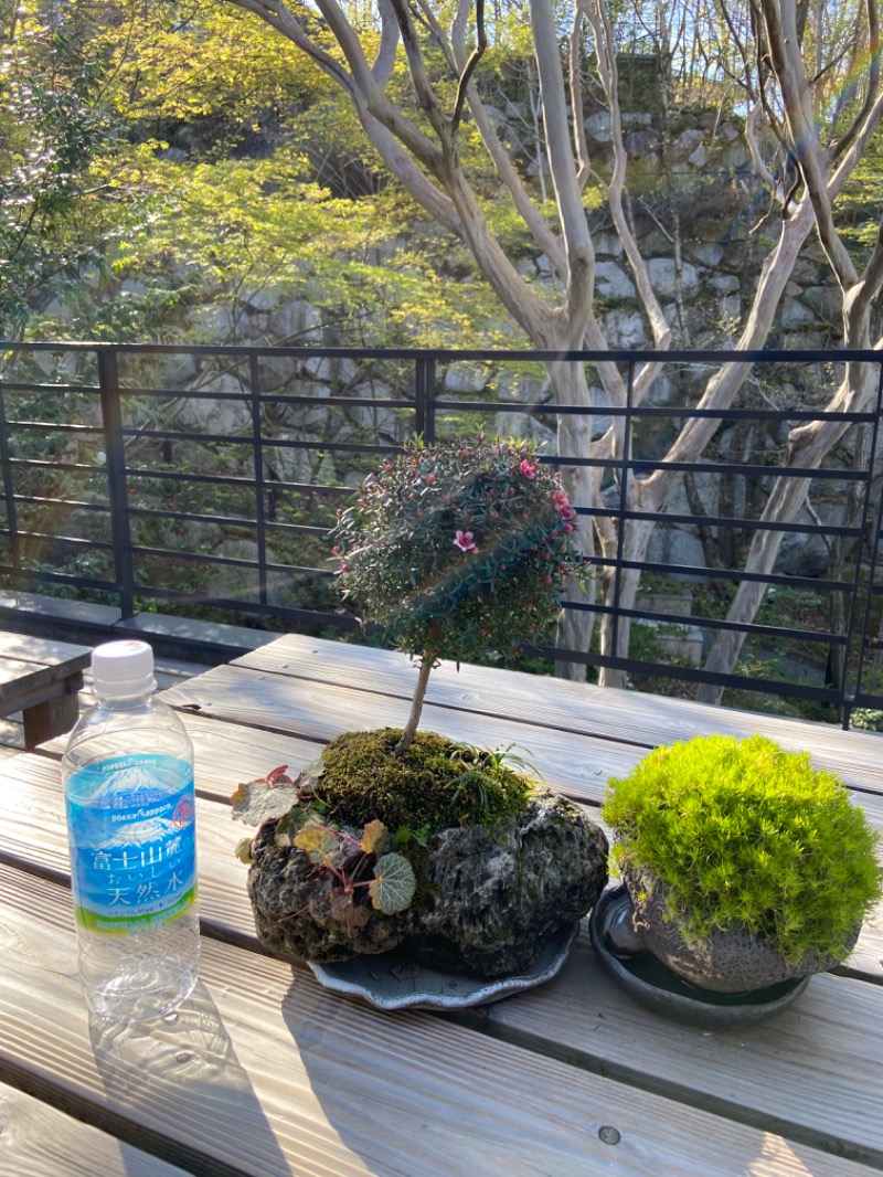 ぷにぷにさんの湯泉郷 温泉館 湯招花のサ活写真